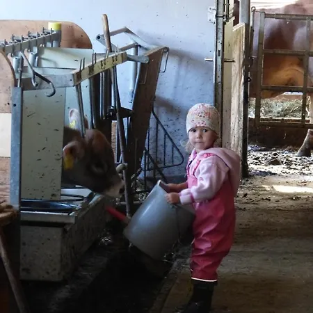 בית חווה Bauernhof Gantner וולד אם ארלברג